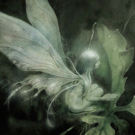 Dark Fairy Core, Fae Aesthetic, Brian Froud, Dark Fairycore, Goth Fairy, Fairy Aesthetic, Dark Fairy, The Dark Crystal, Forest Fairy