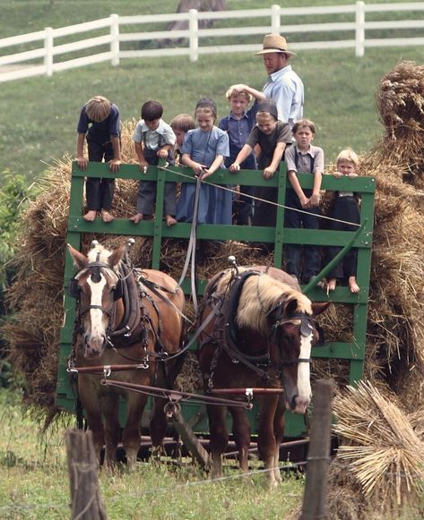 Fun Autumn Activities, Amische Quilts, Amish Culture, Fall Family Fun, Amish Farm, Horse Drawn Wagon, Rural Lifestyle, Amish Community, Horse Property