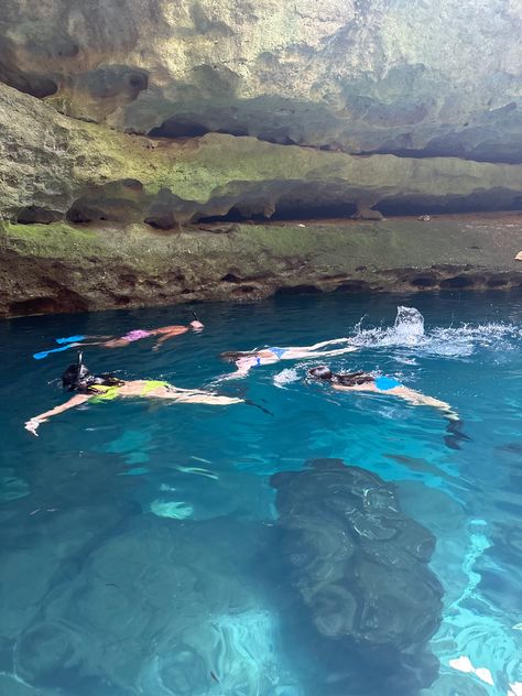 Snorkeling water froends Devils Den Florida, Mermaid Aesthetics, Biology Aesthetic, Devils Den, Holy Girl, Life Dreams, Florida Springs, Art Outfit, Marine Biology