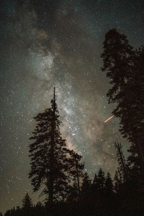 Best nature photography Night Sky Photography, Wonderful Nature, Instagram Background, Sky Full Of Stars, Night Forest, Starry Night Sky, Sky Aesthetic, Sky Photography, Milky Way