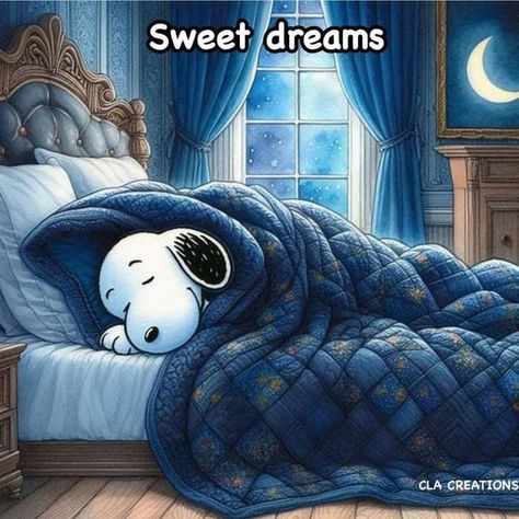 Snoopy Bedtime, Snoopy Good Night, Good Night Snoopy, Snoopy Sleep, Funny Good Night Pictures, Snoopy Sleeping, Goodnight Snoopy, Goodnight Sleep, Good Morning Snoopy