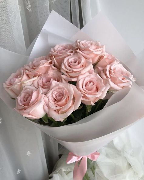 Light Pink Roses Aesthetic Bouquet, Light Pink Roses Aesthetic, Light Pink Rose Bouquet, Light Pink Bouquet, White Flower Background, Monica Murphy, White And Pink Roses, Pink Rose Bouquet, Light Pink Rose