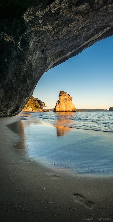 Sunrise, Cathedral, Cove. Coromandel, New Zealand Coromandel New Zealand, Cathedral Cove, Australia Beach, New Zealand Landscape, Cambodia Travel, New Zealand North, Mysterious Places, Auckland New Zealand, New Zealand Travel