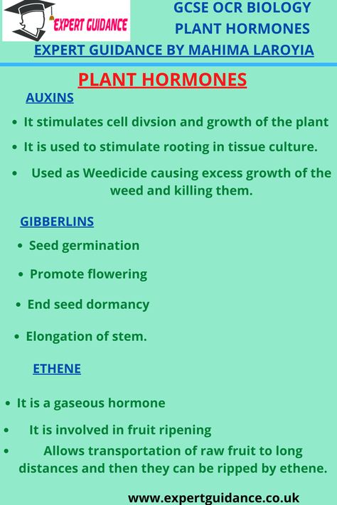 Plant hormones Plant hormones Auxin and gravitopism Practical activity – Effects of light or gravity on seedling growth Other plant hormones – Higher Use of plant hormones – Higher Auxin In Plants, Plant Hormones Biology Notes, Plant Physiology Notes, Types Of Hormones, Botany Notes, Plant Hormones, Skeletal System Anatomy, Medicinal Flowers, Bio Notes