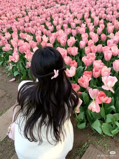 Bella + Core + Aesthetic, Tulip Field Photoshoot, Photoshoot Wallpaper, Tulips Images, Carlsbad Flower Fields, Spring Scenery, Field Photoshoot, Tulip Field, Fotografi Vintage