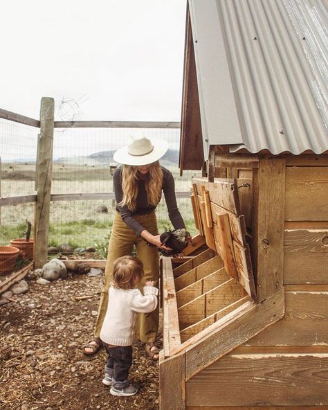 Hatching Egg, Nest Box, Farm Lifestyle, Future Farms, Farms Living, Ranch Life, Hobby Farms, Farm Gardens, Chickens Backyard