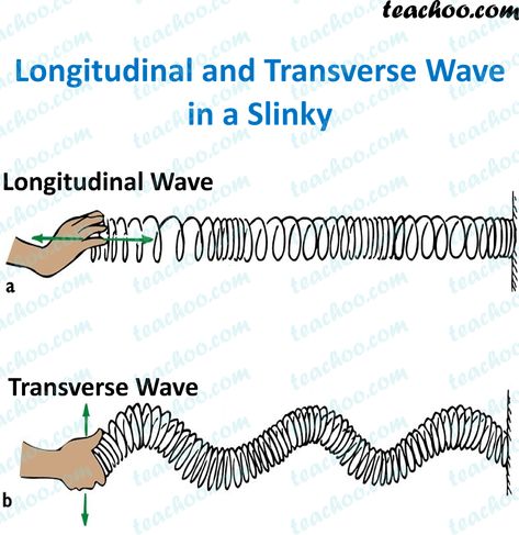 Longitudinal and Transverse Waves - Explanation, Difference - Teachoo Longitudinal Waves Physics, Wave Physics, Physics Waves, Transverse Wave, Seismic Waves, Gcse Science Revision, Ultrasound Physics, Longitudinal Wave, Teaching Middle School Science