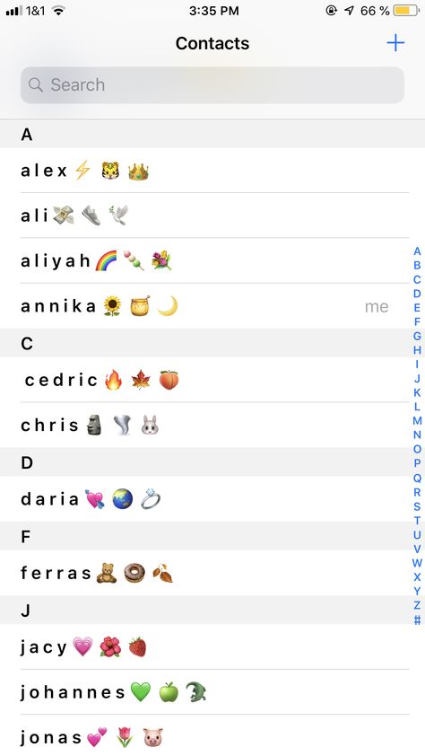 here’s an inspiration how to name your contacts with cute aesthetic emojis Cute Names For Contacts, Emoji Contact Names, Names In Contacts Ideas, Phone Contacts Aesthetic, Aesthetic Contacts Phone, Names Contacts Phone, Iphone Contacts Aesthetic, Iphone Contacts, Snapchat Customized Emojis