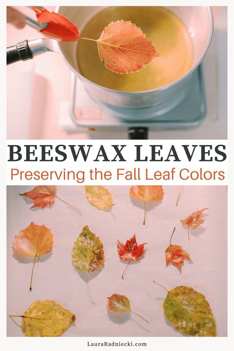 Preserve Fall Leaves, Autumn Eyfs Activities, Thanksgiving Crafts Decorations, Cottagecore Autumn, Leaf Projects, Autumn Leaf Color, Holiday Tips, Diy Fall Wreath, Thanksgiving Traditions