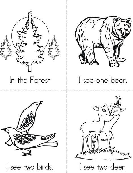 In the Forest (free) Mini Book from TwistyNoodle.com Free Printable Forest Animal Pictures, Forest Animals Preschool, Woodland Activities, Forest Animal Crafts, Forest Preschool, January Themes, Animal Crafts Preschool, Forest Animals Theme, Animals Preschool