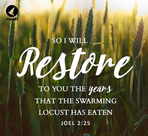 I will repay you for the years the locusts have eaten— the great locust and the young locust, the other locusts and the locust swarm. (Joel‬ ‭2:25‬‬  NLT)  To come to God means to believe in His begotten Son Jesus, trust Him for your salvation, study the Bible and yield to His teachings—in doing so His Spirit will indwell within you and you will reside in His Kingdom; and in His Kingdom, you will experience greater and better restoration. 🕊 Restoration Scriptures, Blessing Words, Sacred Scripture, Healing Scriptures, Ayat Alkitab, Inspirational Quotes God, Prayer Scriptures, Biblical Quotes, Favorite Bible Verses