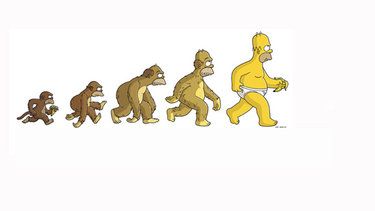 The-Evolution-of-Homer-Simpson Simpsons Funny, Funny Cartoon Pictures, Human Evolution, Matt Groening, The Simpson, Homer Simpson, Charles Darwin, Funny Wallpaper, Futurama