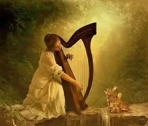 Celtic Harp, Irish Mythology, Music Flyer, Celtic Music, Happy Birthday Girls, Music Drawings, Still Picture, Forest Illustration, Fantasy Forest