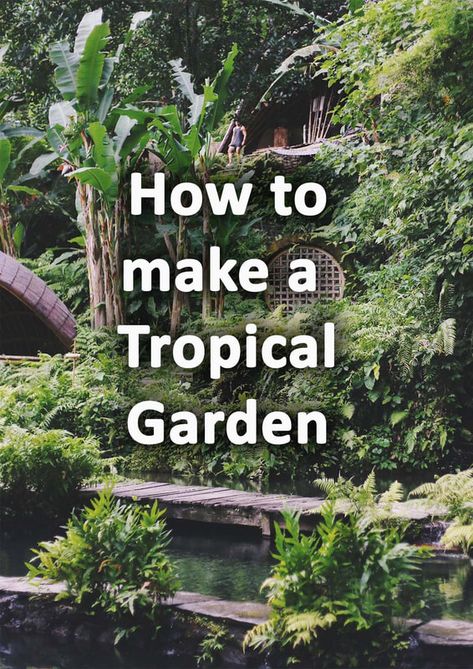 Tropical Looking Plants, Tropical Garden Plants, Tropical Backyard Landscaping, Small Tropical Gardens, Bali Garden, Tropical Landscape Design, Small Backyard Design Ideas, Florida Landscaping, Backyard Design Ideas