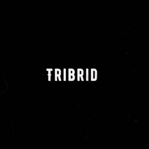 Tribrid Aesthetic, Ash Morgenstern, The Originals Aesthetic, Legacies Aesthetic, Hope Mikaelson Aesthetic, Tvdu Aesthetic, Mikaelson Aesthetic, Bloodlines Series, Riverdale Cheryl