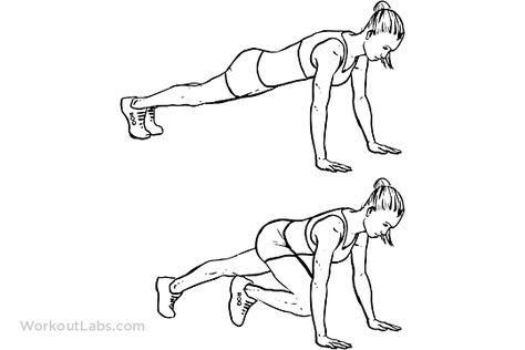 Mountain Climbers / Alternating Knee-ins 				 			 Place your hands flat on the floor, shoulder width apart. Extend your torso and legs fully behind you with only your toes and balls of your feet touching the floor. Your body should be in a straight line, with your weight supported on your hands and toes only. Starting with either leg, flex your knee and hip at the same time to bring your knee up and under your hip. Your other leg should remain fully extended. This is the start position. Using an Sledgehammer Workout, Belly Exercises For Women, Mountain Climber Exercise, Fast Fat Burning Workout, Weight Lifting Program, Stomach Diet, Slim Tummy, Flat Tummy Workout, Hip Thrusts