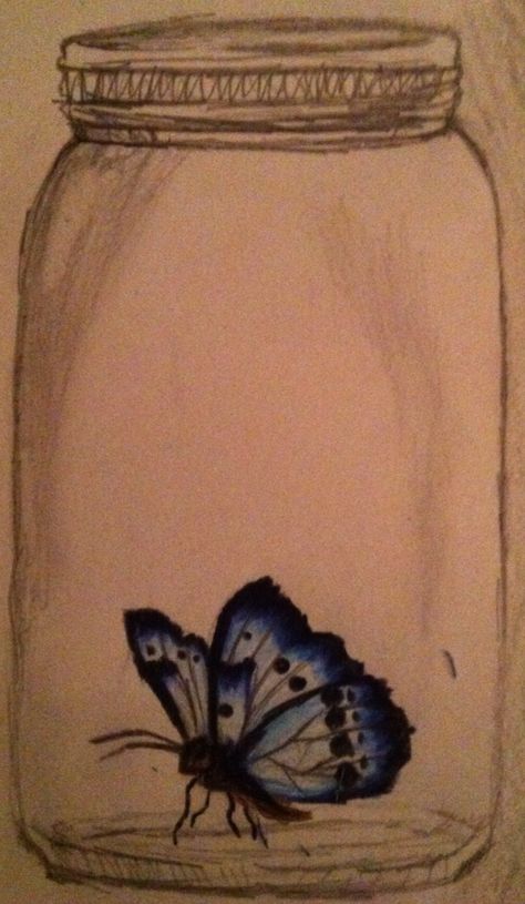 Butterflies In A Jar Drawing, Butterfly In A Jar Tattoo, Butterfly In Jar, Butterfly In A Jar, Drawing Of A Butterfly, Tank Drawing, In A Jar, A Butterfly, Art Ideas