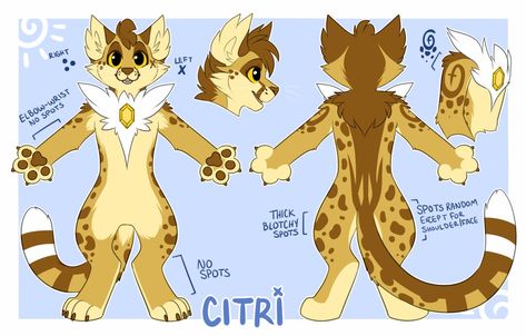 Cat Fursuit, Fursona Art, Fur Suit, Ref Sheet, Reference Sheet, Anthro Dragon, Colorful Animals, Warrior Cat, Cartoon Character Design