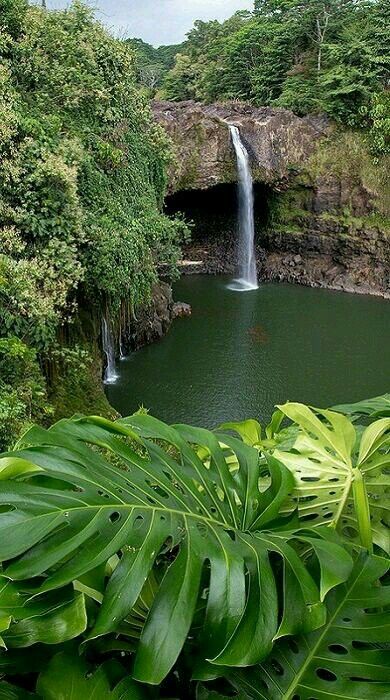 Rainbow Falls, Big Island Hawaii, Phuket Thailand, Hawaii Vacation, Beautiful Waterfalls, Alam Yang Indah, Hawaii Travel, Big Island, Honolulu