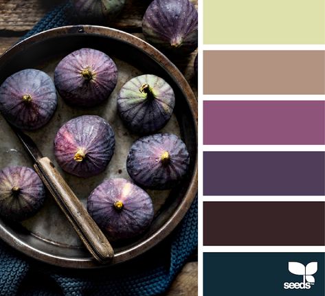 Design Seeds: Fresh Tones Seeds Color, Design Seeds, Color Palette Design, Color Balance, Color Inspo, Colour Board, Jolie Photo, Colour Schemes, Color Pallets