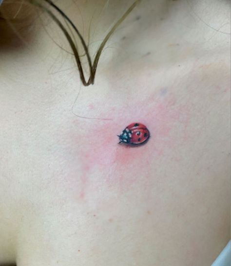 Ladybug Tattoos, Ohana Tattoo, Ladybug Tattoo, Sketch Style Tattoos, Lady Bug Tattoo, Bug Tattoo, Lucky Symbols, Bff Tattoos, Different Tattoos