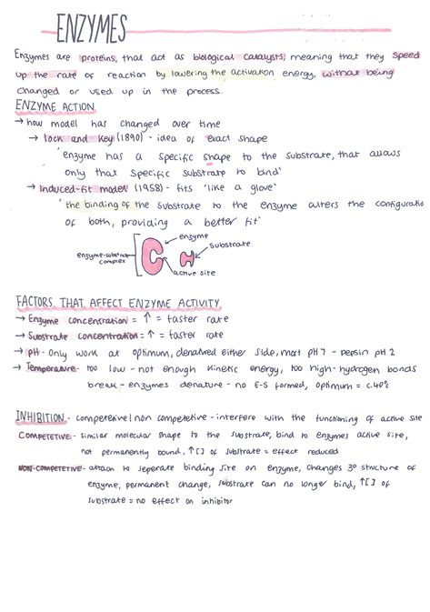 Health Science Notes, Enzymes Biology Notes, Enzymes Notes, Ap Biology Notes, Bio Notes, Biochemistry Notes, Science Revision, Chemistry Education, Study Biology