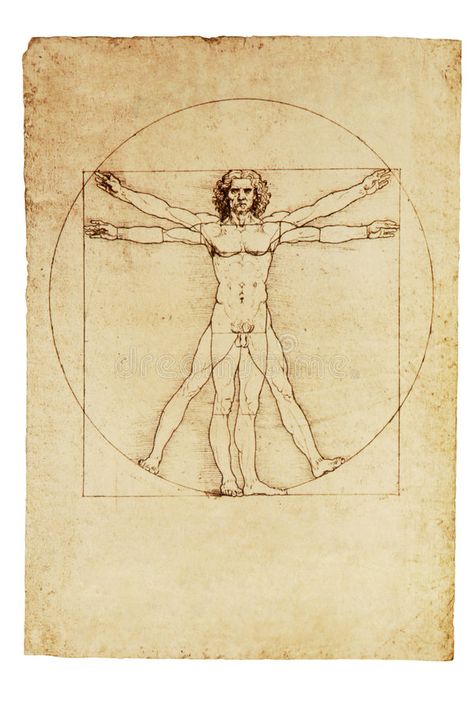 Vitruvian Man Tattoo, Da Vinci Vitruvian Man, Kunst Tattoos, Vitruvian Man, Famous Art, Anatomy Art, Art History, Cool Tattoos, Art Tattoo