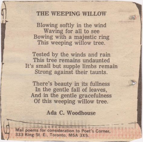 The Weeping Willow<3 Willow Tree Quotes, Willow Tree Meaning, Quotes Tattoo Ideas, Willow Tree Tattoo, Tree Meanings, Bonsai Tree Tattoos, Willow Tree Wedding, Tree Poem, Birch Tree Wallpaper