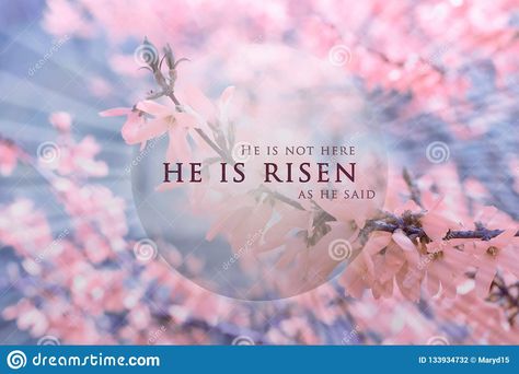 Easter Images Christian, Happy Easter Religious, Easter Sunday Images, Christ Resurrection, Jesus Christ Resurrection, Random Holidays, Religious Wallpaper, Easter Background, Quotes Jesus