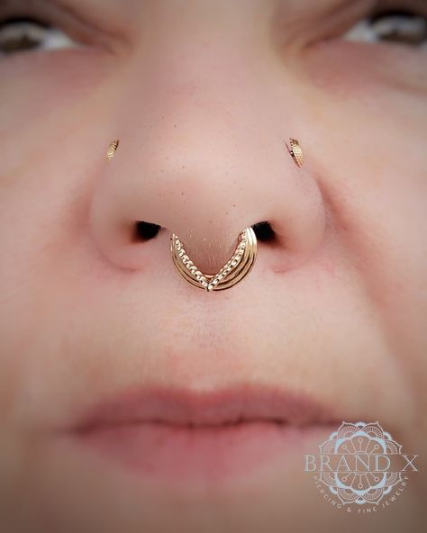 Bvla Septum, Septum Stack, Ear Styling, Gold Septum, Ear Style, Teardrop Ring, Body Mods, Piercing Jewelry, Piercings