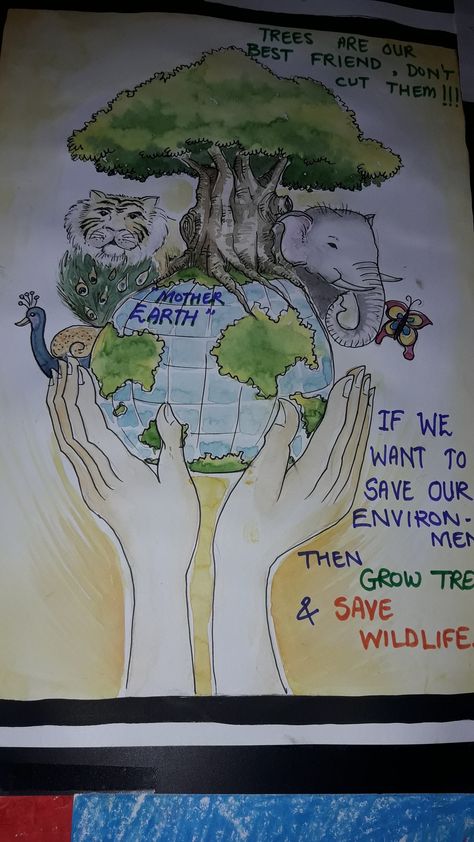 Poster On Forest Conservation, Forest Conservation Poster Ideas, Wildlife Conservation Through Coexistence Painting, Save Forests Poster, Wild Life Conservation Poster, Animal Extinction Poster, Poster On Wildlife, Save Wild Life Poster Drawing, Wildlife Conservation Drawing