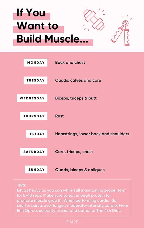 erin-oprea-muscle-building-workout-plan-2 Building Muscle Workout, Fitness Schedule Weekly, How To Build A Workout Plan, Muscle Gain Workout Plan, Muscle Building Exercises, Workouts Weekly, Muscle Building Workout Plan, Erin Oprea, Shape Workout