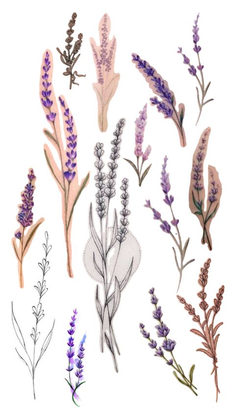 Purple Wildflower Tattoo, Herb Tattoo Botanical Drawings, Herb Tattoo, Lavender Tattoo, Wildflower Tattoo, Purple Wildflowers, Wrist Tattoo, Botanical Drawings, Wrist Tattoos