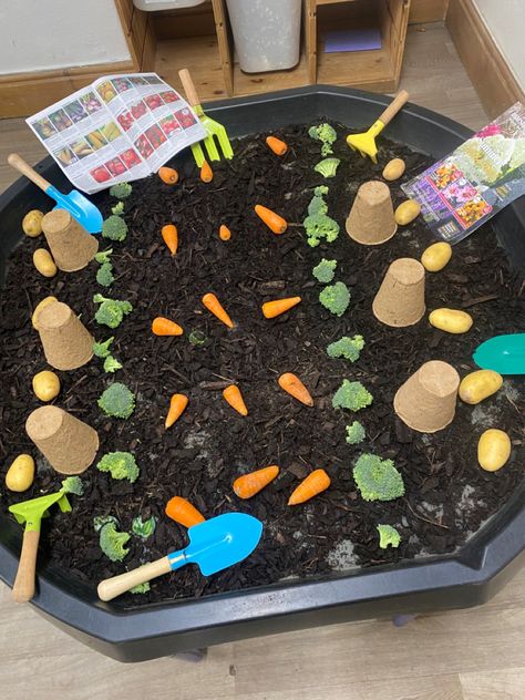 Trough Ideas Preschool, Vegetable Tuff Tray Ideas, Plant Tuff Tray, Garden Tuff Tray Ideas, Spring Tuff Tray Ideas Preschool, Farm Eyfs, Olivers Vegetables, Farm Theme Crafts, Healthy Food Activities