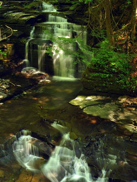 Fillmore Glen State Park – Go Finger Lakes Fillmore Glen State Park, Finger Lakes Ny, Buttermilk Falls, Watkins Glen State Park, Civilian Conservation Corps, Watkins Glen, Dry Creek, Finger Lakes, Historic Preservation