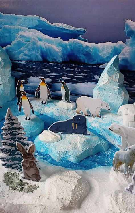 Arctic Diorama For Kids, Polar Bear Diorama, Northern Lights Decorations, Tundra Biome, Arctic Vbs, Diorama Kids, Arctic Region, Habitats Projects, Biology Projects