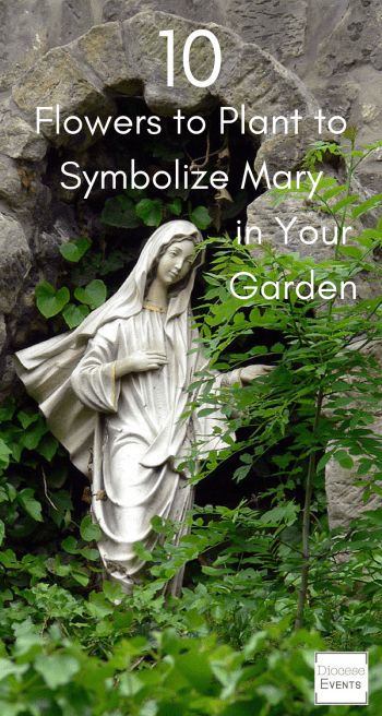 Marian Garden, Flowers To Plant, Tattoo Plant, Sacred Garden, Prayer Garden, 10 Flowers, Meditation Garden, Mary Statue, Halloween Outdoor