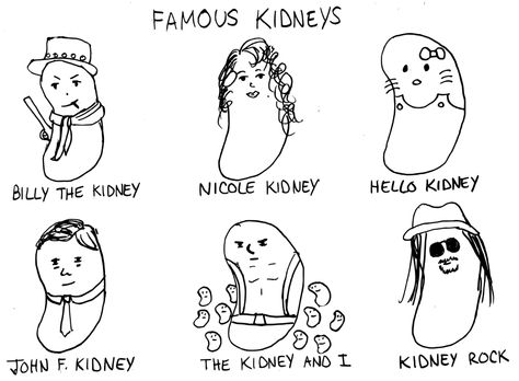 A drawing of famous Kidneys... Transplant Party, Dietitian Humor, Kidney Donation, Christmas Memes Funny, Kidney Donor, Christmas Memes, Human Body Systems, Medical Humor, Science Humor