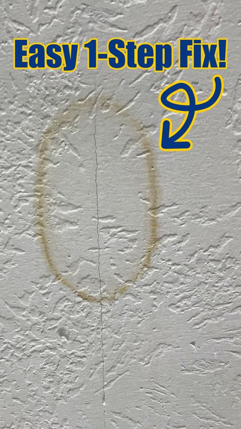 Super Easy Way To Remove Water Stain from Ceiling Without Paint - Abbotts At Home Ceiling Water Stain Repair, Water Stain On Ceiling, Water Damaged Ceiling, White Wash Walls, Remove Water Stains, Light Paint Colors, Wall Repair, House Maintenance, Cleaning Diy