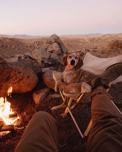 Theron Humphrey, Dog Camping, Hiking Dogs, Dog Adventure, Rescue Dog, Dog Travel, Canine Companions, Dog Photography, Animal Shelter