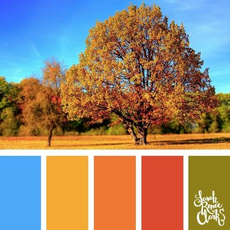 Fall Color Combinations, Color Palette For Home, Color Palette Combinations, Pantone Fall, Fall Color Schemes, Autumn Color Palette, Color Catalog, Fall Color Palette, Design Seeds