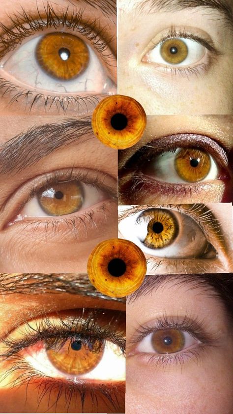 Amber Eyes Color, Bella Diva, Natural Contact Lenses, Beautiful Eyes Color, Rare Colors, Gender Fluid Fashion, Best Study Tips, Amber Eyes, Eyes Color