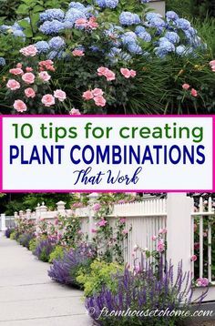 These tips for creating plant combinations in your yard will help make your garden landscaping look beautiful. Great ideas for updating your garden design with beautiful flowers, bushes and perennials. Wild Gardening, Garden Perennials, Spring Gardens, House To Home, Planting Guide, Fantasy Garden, Household Plants, Garden Hacks, Landscape Plants