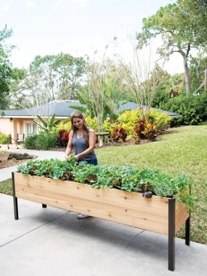 Planter Boxes: Elevated Cedar Planter Box | Orders $125+ Ship Free Gardening Boxes Raised, Raised Garden Planter Boxes, Moveable Planter Boxes, Standing Garden Beds, Elevated Planter Raised Bed, Narrow Planter Boxes, Driveway Planters, Cedar Raised Beds Garden Boxes, Cedar Planter Boxes