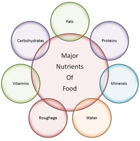 descriptions of the nutrient classes: http://www.healthknowledge.org.uk/public-health-textbook/disease-causation-diagnostic/2e-health-social-behaviour/principles-nutrition Vitamins And Minerals Chart, 6 Essential Nutrients, Calories Chart, Science Diagram, Balanced Diet Chart, Chores For Kids By Age, Teaching Measurement, Mineral Food, Nutrition Poster