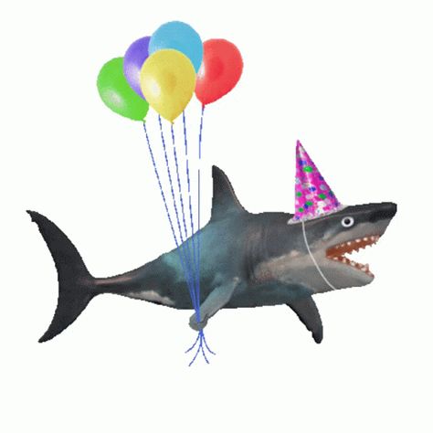 Shark Gif, Shark Balloon, 1366x768 Wallpaper, Shark Pictures, Cute Shark, Weird Things, Silly Images, Silly Animals, Silly Pictures