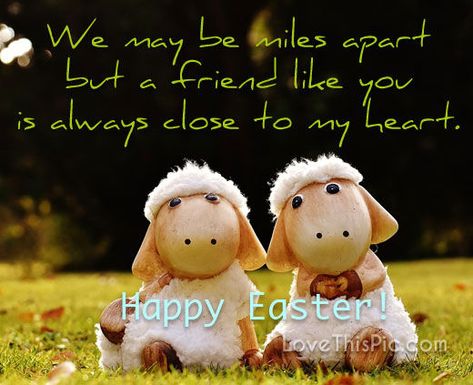 Happy Easter Quotes Friends, Cool Easter Eggs, Happy Easter Quotes, Outdoor Christmas Planters, Easter Greetings Messages, Easter Quotes, Happy Easter Wishes, Happy Easter Card, Wishes For Friends