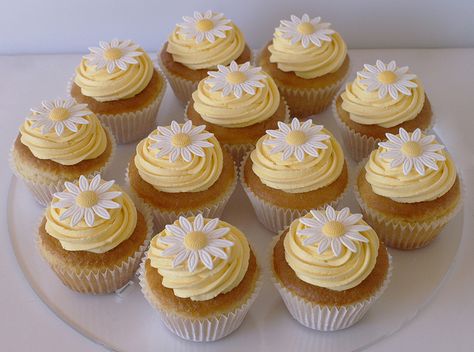 Daisy Cupcakes, Pretty Dessert, Cute Baking, White Daisies, Pretty Birthday Cakes, Think Food, Cute Birthday Cakes, Cute Desserts, 80th Birthday