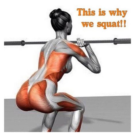 Squats Before And After, 30 Day Squat, 30 Day Squat Challenge, Gym Fitness Motivation, Runner's World, Squat Challenge, 30 Day Fitness, 30 Day Workout Challenge, Pilates Reformer