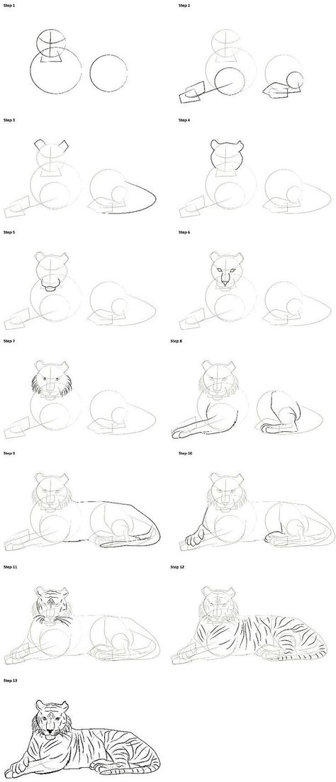 Not mine btw Drawing Ideas Tiger, Tiger Sketch Easy, How To Draw Zoo Animals Step By Step, Tiger Laying Down Drawing, How To Draw Big Cats, Drawing Tiger Easy, How To Draw A Tiger Easy, Tiger Drawing Easy Step By Step, How To Draw Nature Step By Step